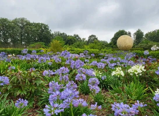 Bloemenpracht Merksplas