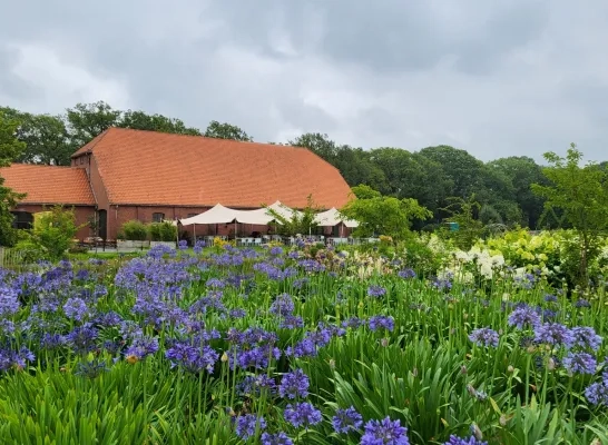 Bloemenpracht Merksplas