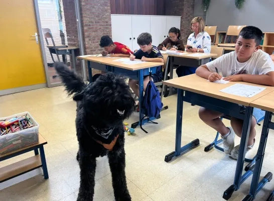 Hugo Bouvier zomerschool hond Duffel 't Kofschip