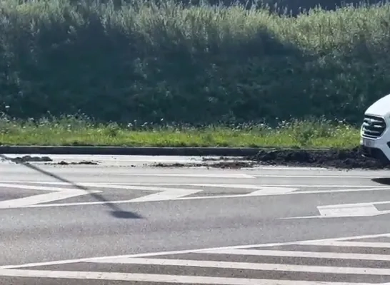 Slijk op N16 in Puurs