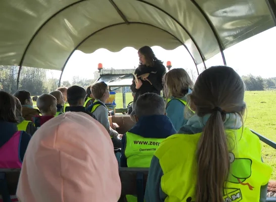 Met de huifkar door de weide van de bizons in 't Gewat Nijlen