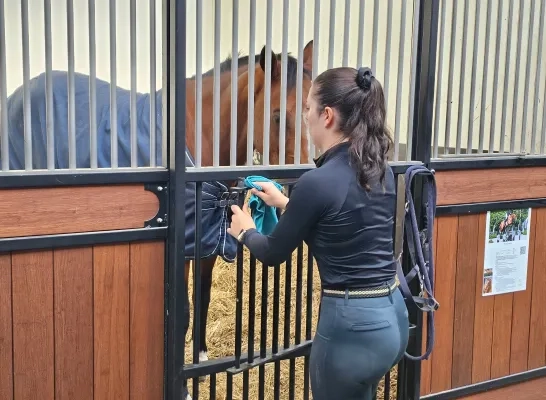 Equbreeding veiling in Stal de Eyckenhoeve