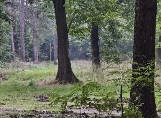 Natuur camping Dry Eycken Herselt