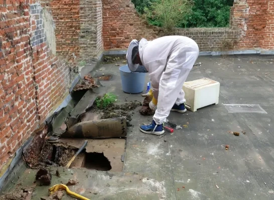 Kasteel Ter Elst Duffel restauratie