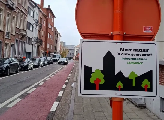 Greenpeace plakt bomenstickers Mechelen