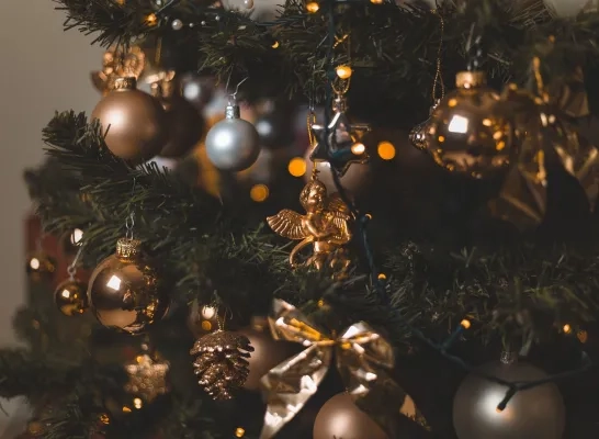 Kerstboom rechtenvrije stockfoto