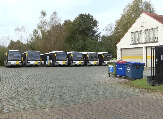 Staking De Lijn bussen stelplaats Westerlo