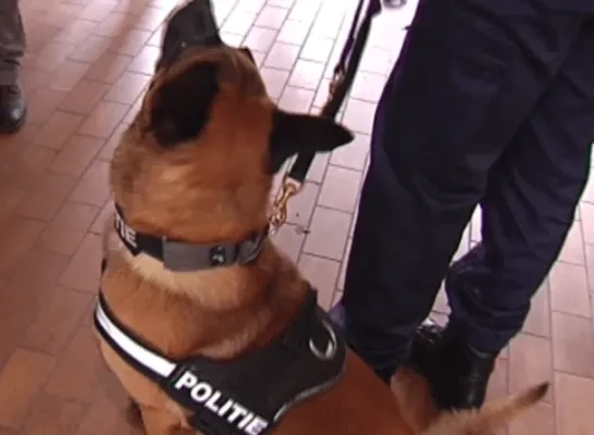 politie hond archief RTV