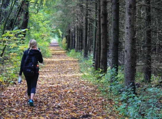 Wandelen in bos