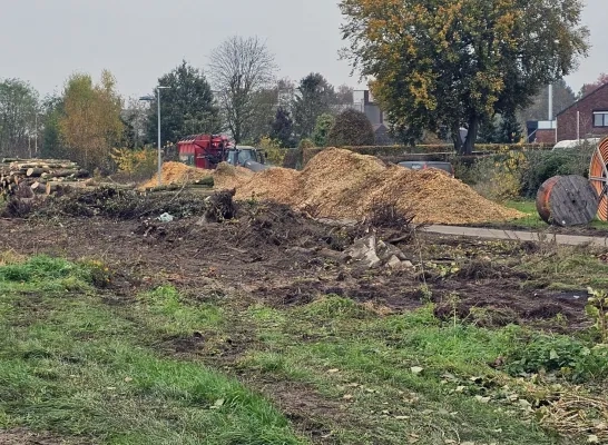 Bomenkap aan Berkemus Noorderwijk