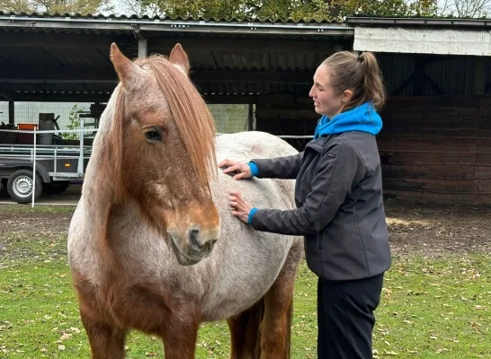 Zorgboerderij LouTieJu Balen