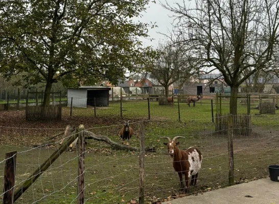 Zorgboerderij LouTieJu Balen