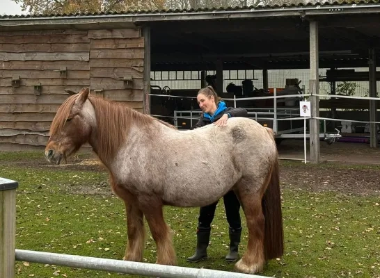 Zorgboerderij LouTieJu Balen