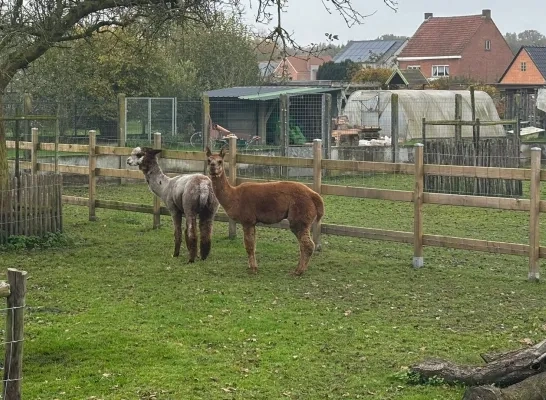 Zorgboerderij LouTieJu Balen