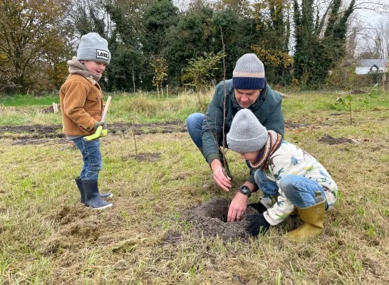 aurubis bomen planten princebos turnhout