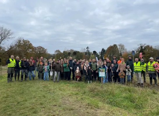 bomen princebos turnhout aurubis