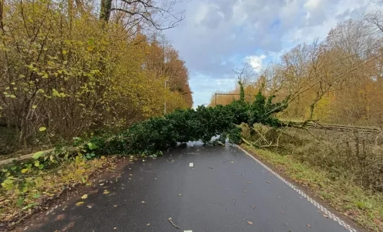 omgevallen boom fiets-o-strade hinder spoor