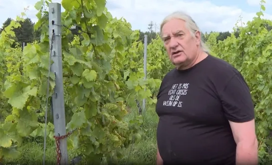 Wijnboeren kunnen vroeger oogsten