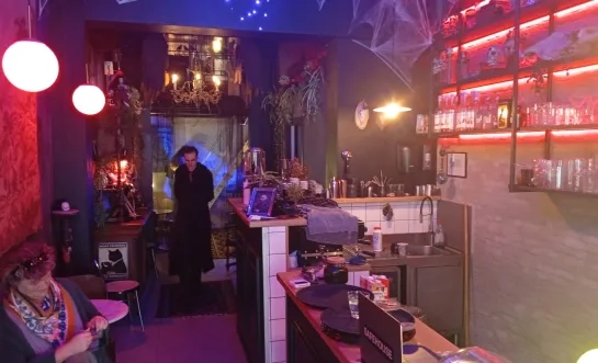 If You Like Black Cats Halloween Mechelen