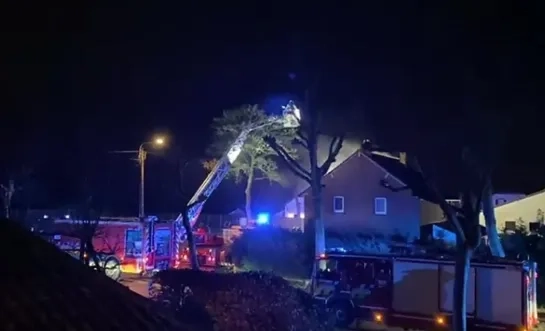 Brand Mol