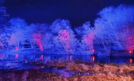 winterwandeling