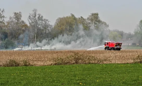 Grasbrand in Lille