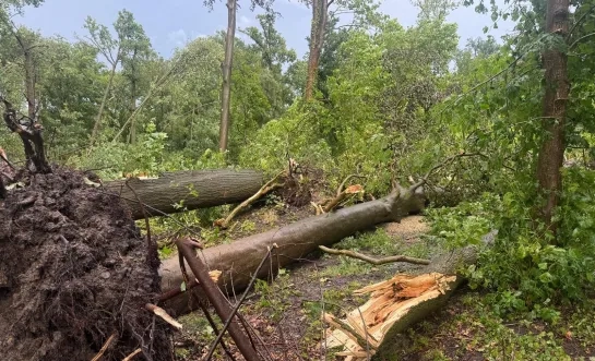 Feryn schade stormweer Mechelen Leest 