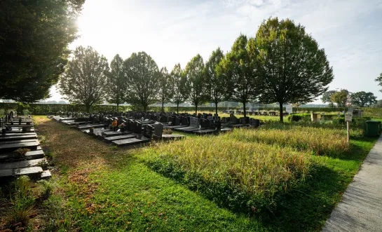 kerkhof begraafplaats Bevel Nijlen onderhoud 