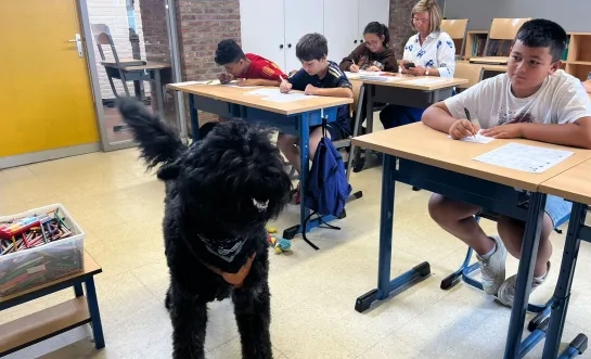 Hugo Bouvier zomerschool hond Duffel 't Kofschip