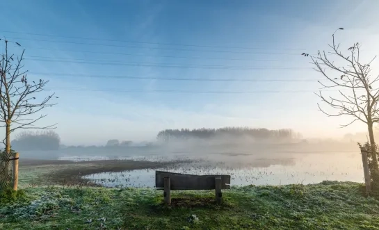 Bleukensweide Leest