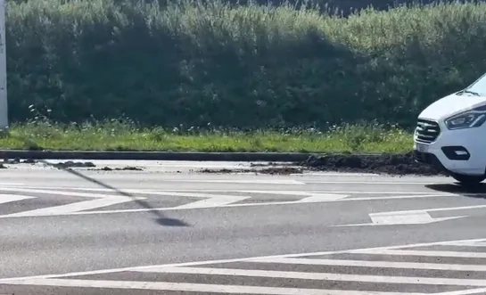 Slijk op N16 in Puurs