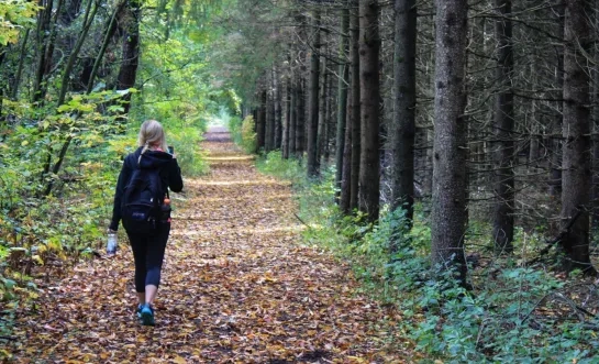 Wandelen in bos