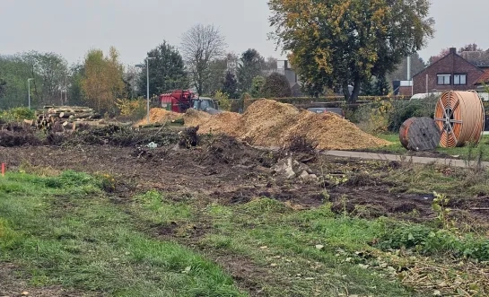 Bomenkap aan Berkemus Noorderwijk