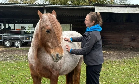 Zorgboerderij LouTieJu Balen