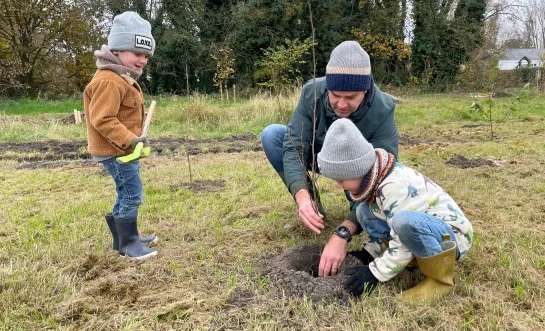 aurubis bomen planten princebos turnhout