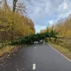 omgevallen boom fiets-o-strade hinder spoor