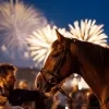 Oppassen met vuurwerk, de dieren zijn bang