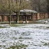 Koesterboom Mechelen sterrenkindjes