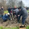 Learning Leaves bomen planten in scholen