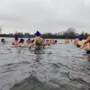 nieuwjaarsduik ijsberen Mechelen