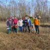 Titte den grunen hesteneer knotten wilgen knotwilgen Netevallei Natuurpunt knottende knotters