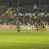 Lierse - Zulte Waregem 0-0 (14-2-2025)