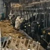 boeren vennengebied 