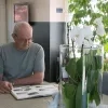 ontploffing poeier