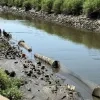 Onderzoek naar waterkwaliteit Zenne