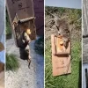 Rattenplaag in het centrum van Geel