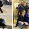 Hond Charlie in woonzorgcentrum Grobbendonk