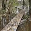 plankenpad Witte Netevallei herstellingswerken plankenpad Witte Netevallei herstellingswerken