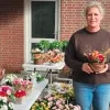 chrysanten aan kerkhof Geel chrysanten aan kerkhof Geel