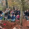 boomplanten .